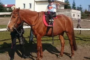 konie-14